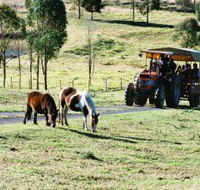 Calmsley Hill City Farm - Broome Tourism