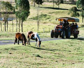 Calmsley Hill City Farm - Broome Tourism 0