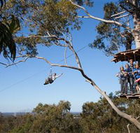 TreeTop Safari - Broome Tourism