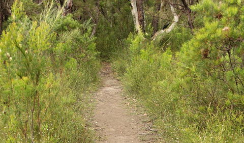 Three Views Walking Track - Broome Tourism 0