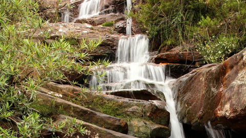Popran National Park - Broome Tourism 1