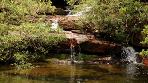 Popran National Park - Broome Tourism 2
