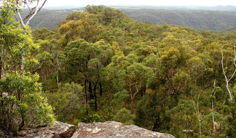 Mount Olive Lookout - Broome Tourism 0