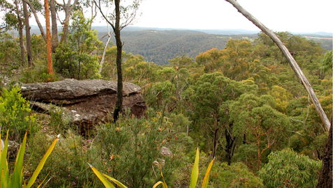 Mount Olive Lookout - Broome Tourism 2