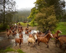 Glenworth Valley Horse Riding - Broome Tourism 0