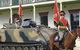 NSW Lancers Memorial Museum - thumb 0
