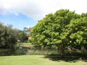 Hervey Bay Botanic Gardens - Broome Tourism 0