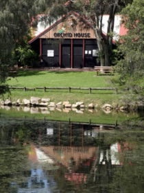 Hervey Bay Botanic Gardens - Broome Tourism 1