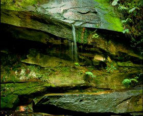 Niagara Park NSW Broome Tourism