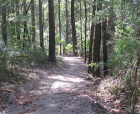 Strickland State Forest - Broome Tourism 2