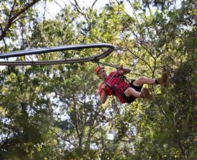 TreeTops Crazy Rider - Broome Tourism 1
