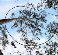 TreeTops Crazy Rider - Broome Tourism
