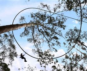 TreeTops Crazy Rider - Broome Tourism 0