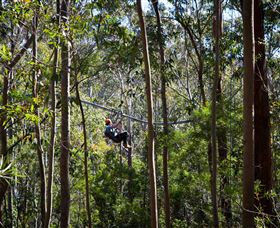 TreeTops Crazy Rider - Broome Tourism 3
