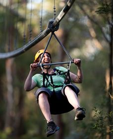 TreeTops Crazy Rider - Broome Tourism 2
