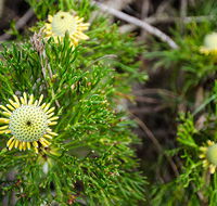 Illawarra lookout walking track - Broome Tourism