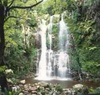 Budderoo National Park - The Falls Walk - Broome Tourism
