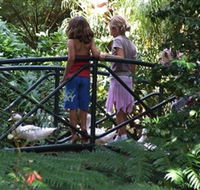 EG Waterhouse National Camellia Garden - Broome Tourism