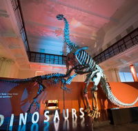 Australian Museum - Broome Tourism