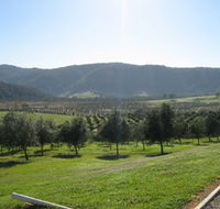 Hastings Valley Olives - Broome Tourism