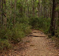 Pigeon House Mountain Didthul walking track - Broome Tourism