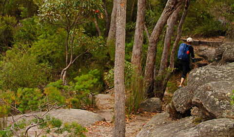 Pigeon House Mountain Didthul Walking Track - Broome Tourism 3