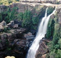 Minnamurra Rainforest Centre Budderoo National Park - Broome Tourism