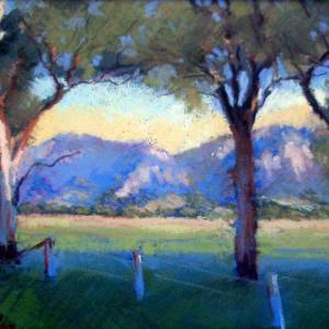 Galleries In The Gardens - Broome Tourism 4