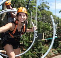 Wild Ropes at Taronga Zoo - Broome Tourism
