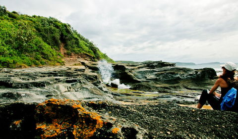 Glenrock State Conservation Area - Broome Tourism 0