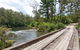 Nymboi-Binderay National Park - thumb 2