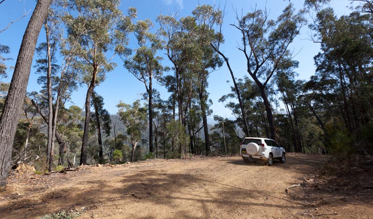 Wadbilliga NSW Broome Tourism