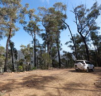 Wadbilliga Road drive - Broome Tourism