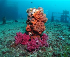 HMAS Brisbane Dive Site - Broome Tourism 0
