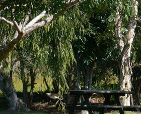 Casino NSW Broome Tourism