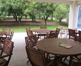 Medowie Macadamias - Broome Tourism 1
