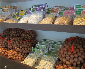 Medowie Macadamias - Broome Tourism 2