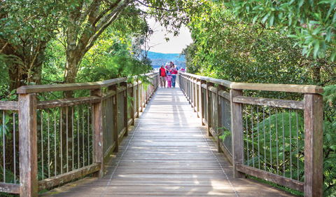 Skywalk Lookout - Broome Tourism 0