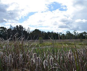 Jabiru Geenbeebeinga Wetlands - Broome Tourism 1