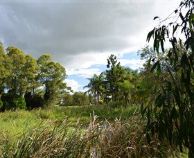 Jabiru Geenbeebeinga Wetlands - Broome Tourism 2