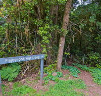 Falcorostrum loop walking track - Broome Tourism