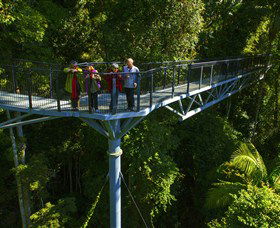 Tamborine Rainforest Skywalk - Broome Tourism 1