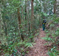 Blackbutt walking track - Broome Tourism