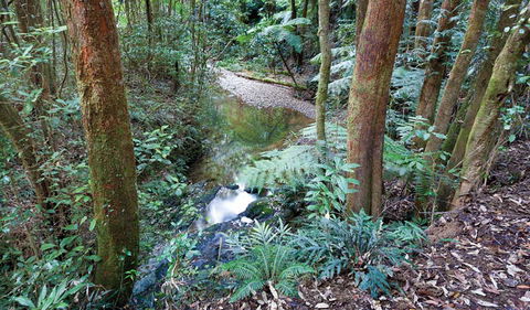 Blackbutt Walking Track - Broome Tourism 1