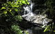 Blackbutt Walking Track - thumb 2