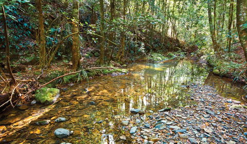 Blackbutt Walking Track - Broome Tourism 3