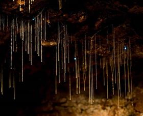 Tamborine Mountain Glow Worm Caves - Broome Tourism 0