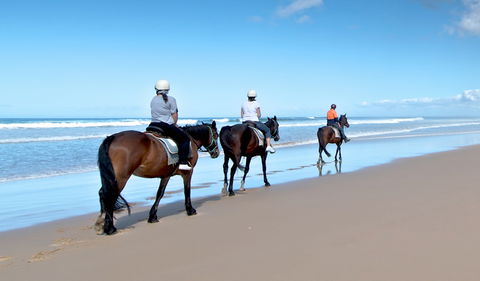 Worimi National Park - Broome Tourism 1