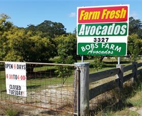 The Avocado Farm - Broome Tourism 3