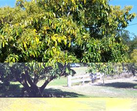 The Avocado Farm - Broome Tourism 2
